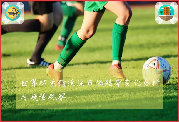 世界杯竞猜投注市场赔率变化分析与趋势观察