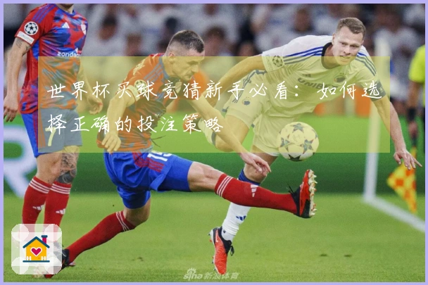 世界杯买球竞猜新手必看：如何选择正确的投注策略
