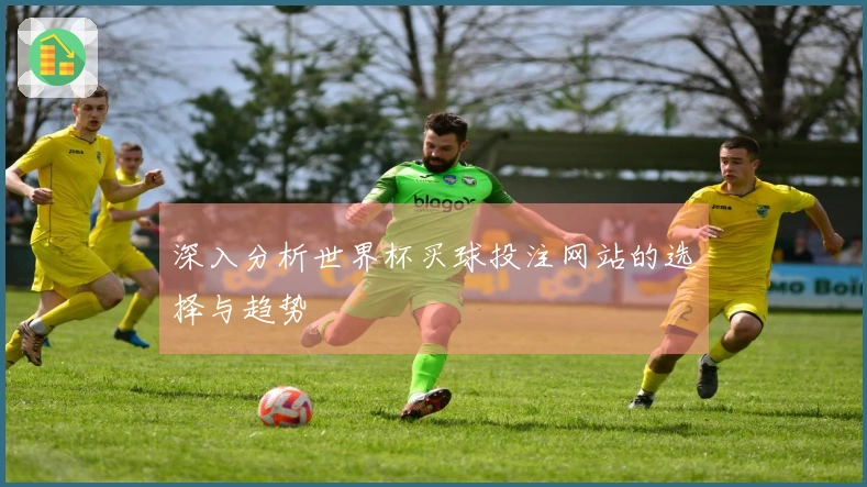 深入分析世界杯买球投注网站的选择与趋势