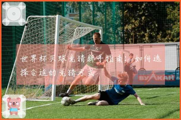 世界杯买球竞猜新手指南：如何选择合适的竞猜方式