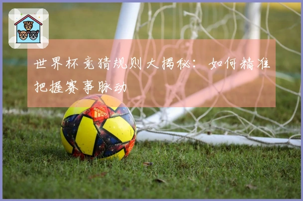 世界杯竞猜规则大揭秘：如何精准把握赛事脉动