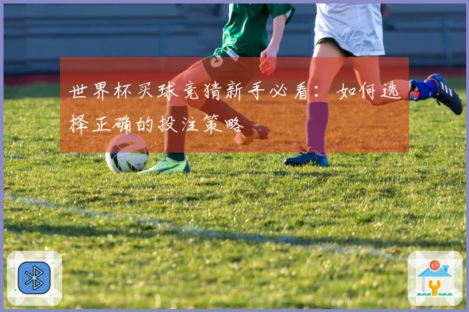 世界杯买球竞猜新手必看：如何选择正确的投注策略